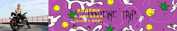 стаф Володарск