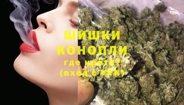 индика Волосово