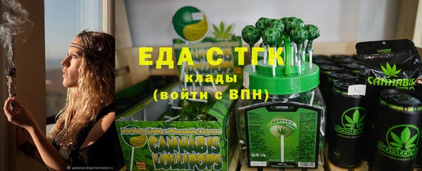 индика Волосово