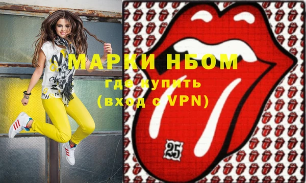 индика Волосово