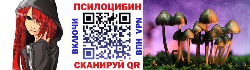 Купить закладки  Бобров  Галлюциногенные грибы Psilocybine cubensis 